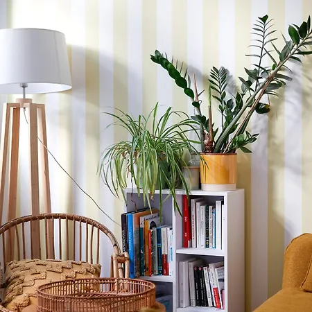 Cosy Avec Terrasse Privee Lägenhet *